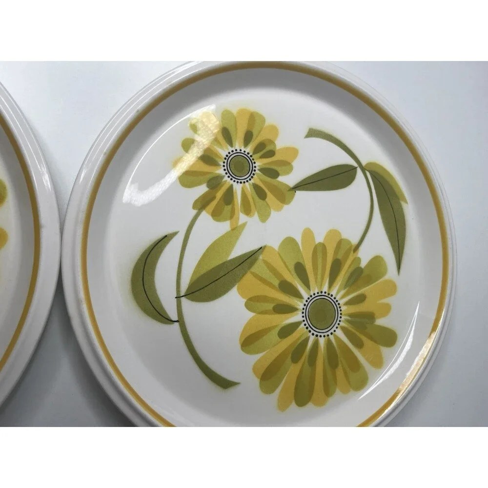 Mikasa Light n Lively Happy Set Of 4 Dinner Plates 70’s Flower Floral BIN2